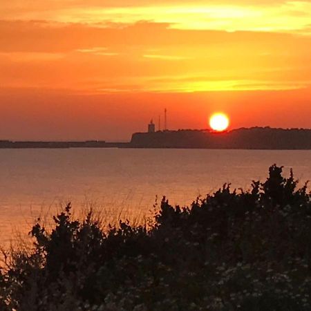 Conil, Descanso En La Dehesa Коніль-де-ла-Фронтера Екстер'єр фото